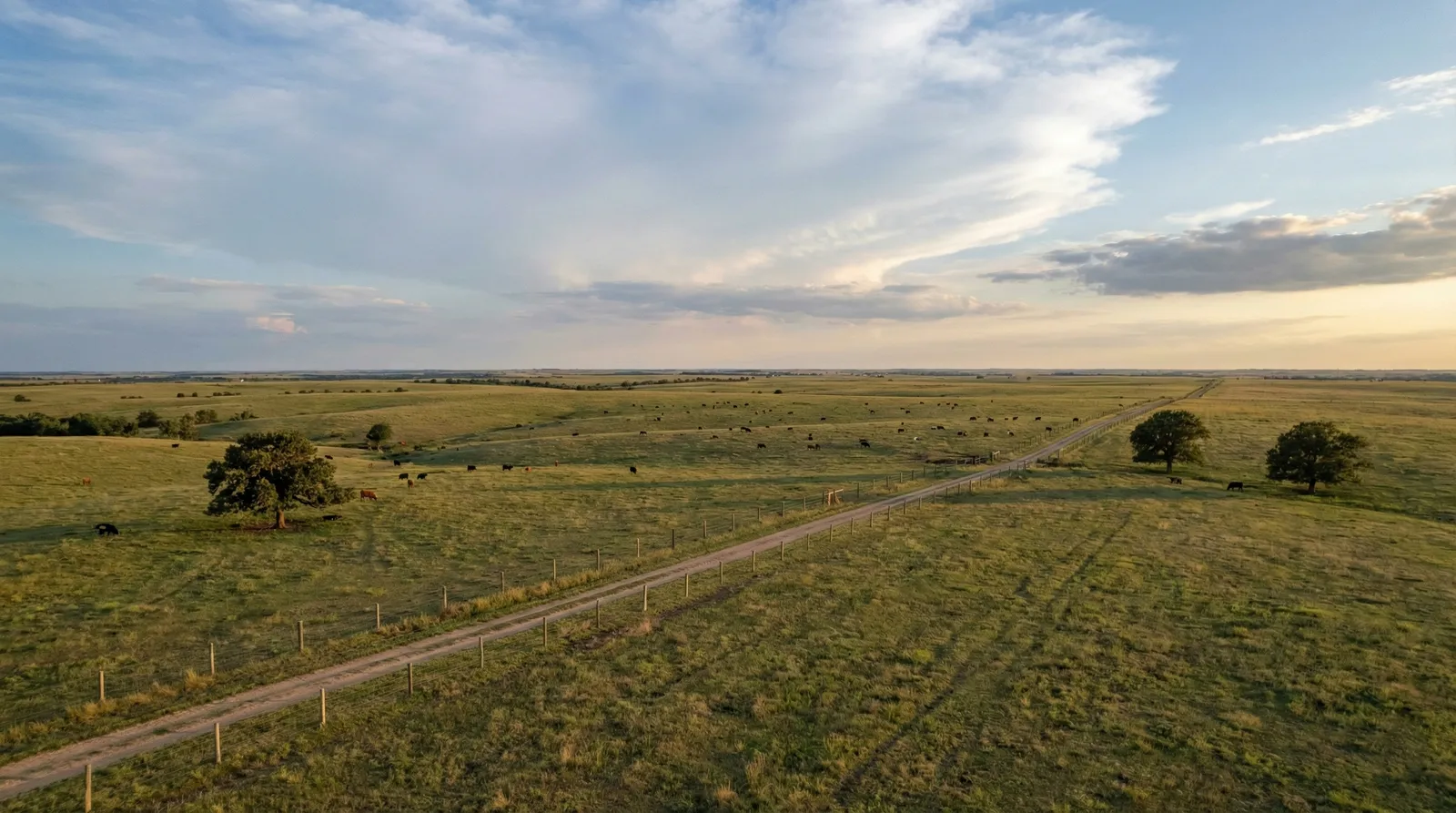 Vast Oklahoma ranch land with fenced pastures stretching to the horizon, featuring scattered oak trees and grazing cattle under a dramatic sunset sky with sweeping clouds.