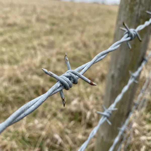 Close-up of galvanized barbed wire with sharp twisted points mounted on a wooden fence post against a blurred natural background.